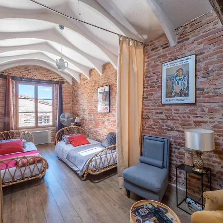 Le Du Vieil Appartement Albi