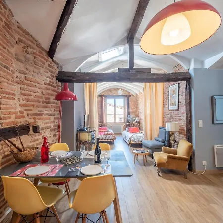 Le Gite Du Vieil Apartment Albi